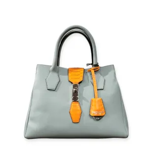 Bicolor Satchel Bag Cruise