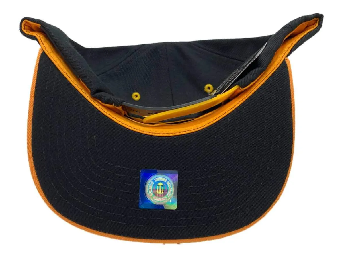 Minnesota Golden Gophers Zephyr Black & Gold Snapback Flat Bill Hat Cap